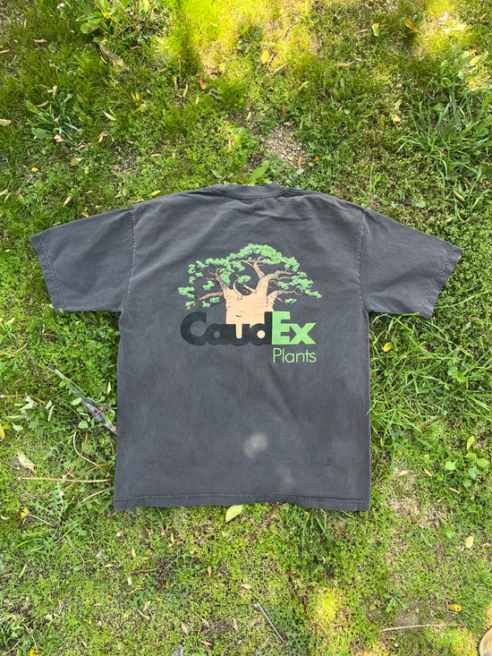 Caudex Pocket T-Shirt