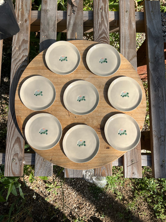 Slow growth plate (4.5in)