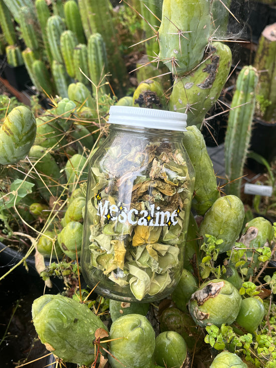 Mescaline Mason Jars (Empty)