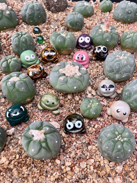 Pup’s Pot Pals