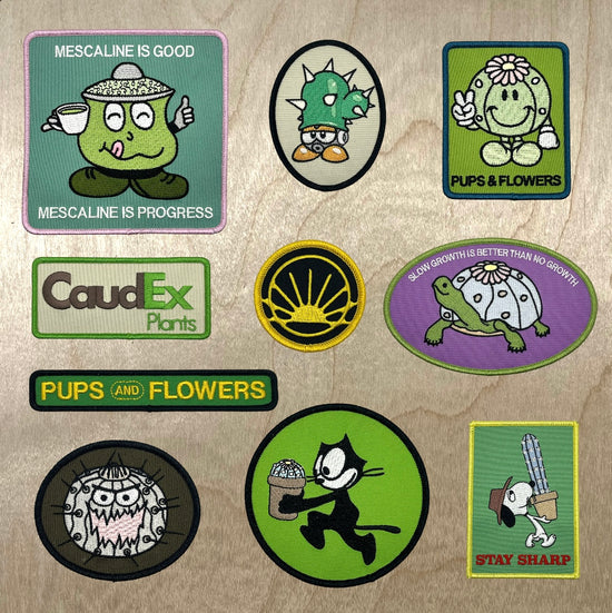 Patch pack