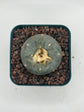 Button Cactus