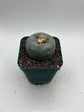 Button Cactus