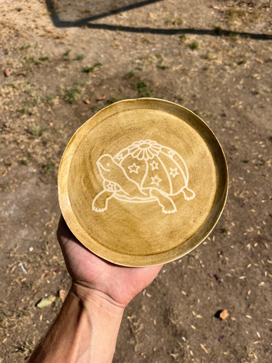 Slow Growth Plate (Temmoku 7in)