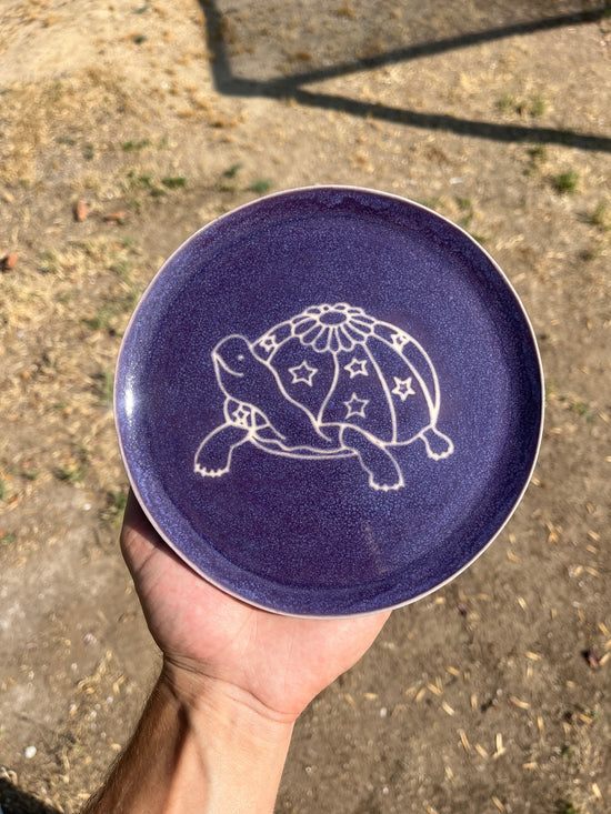 Slow Growth Plate (Amethyst 7in)