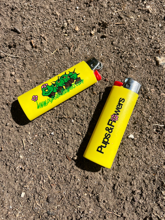 Bic Lighter-02