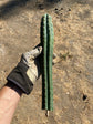 Trichocereus KK339