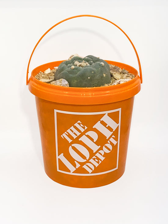 The Loph Depot Bucket Vessel